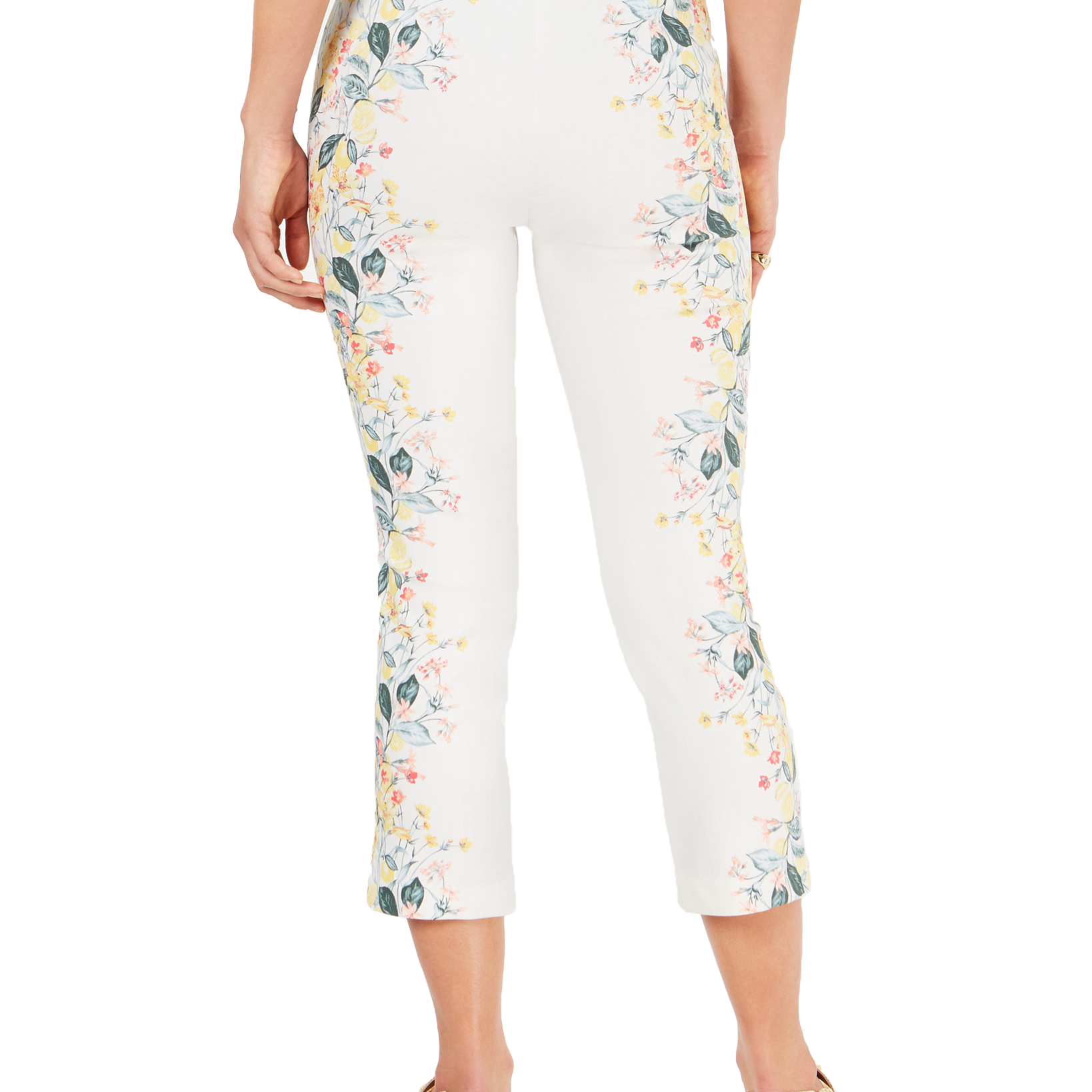 Charter Club Women Floral Print Pull On Pants