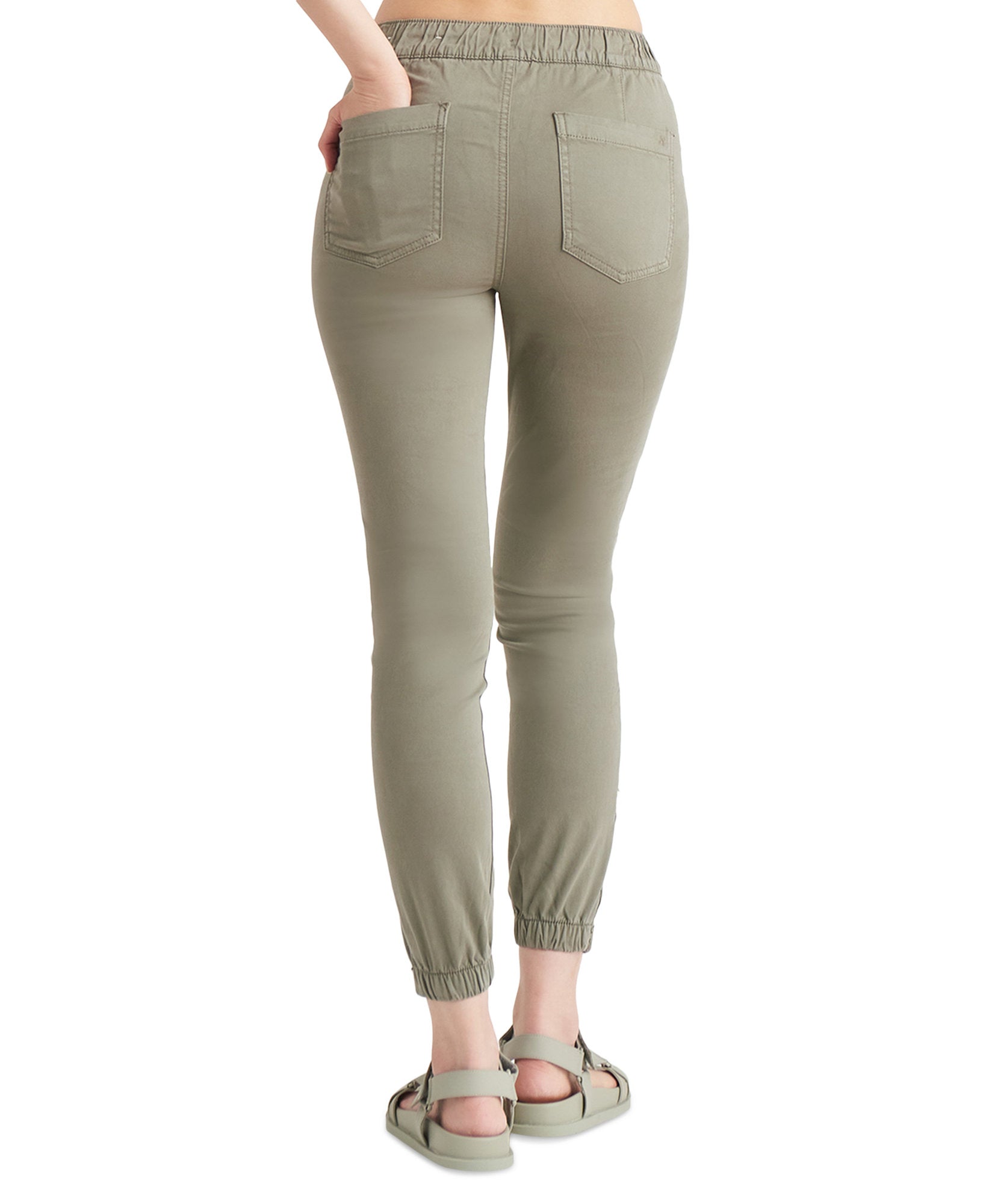 Black Tape Women Petite High Rise Jogger Pants