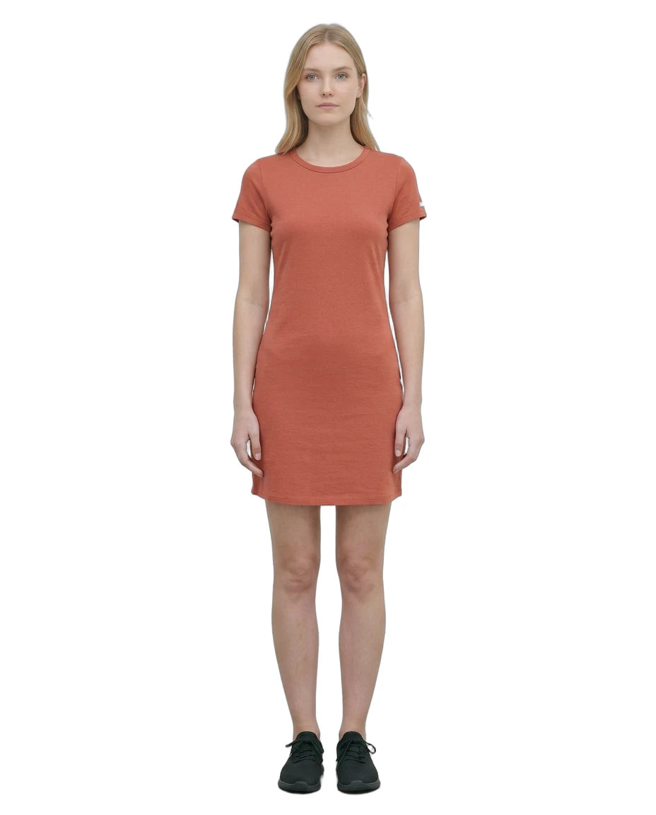 Woman wearing a rust-colored Calvin Klein t-shirt dress on a white background